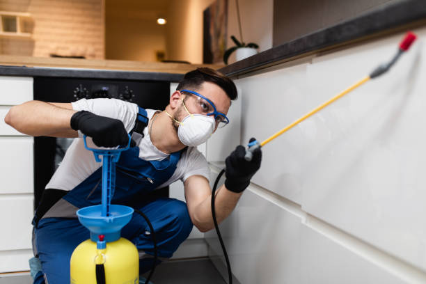 Best Best Pest Control Companies  in Drexel Heights, AZ